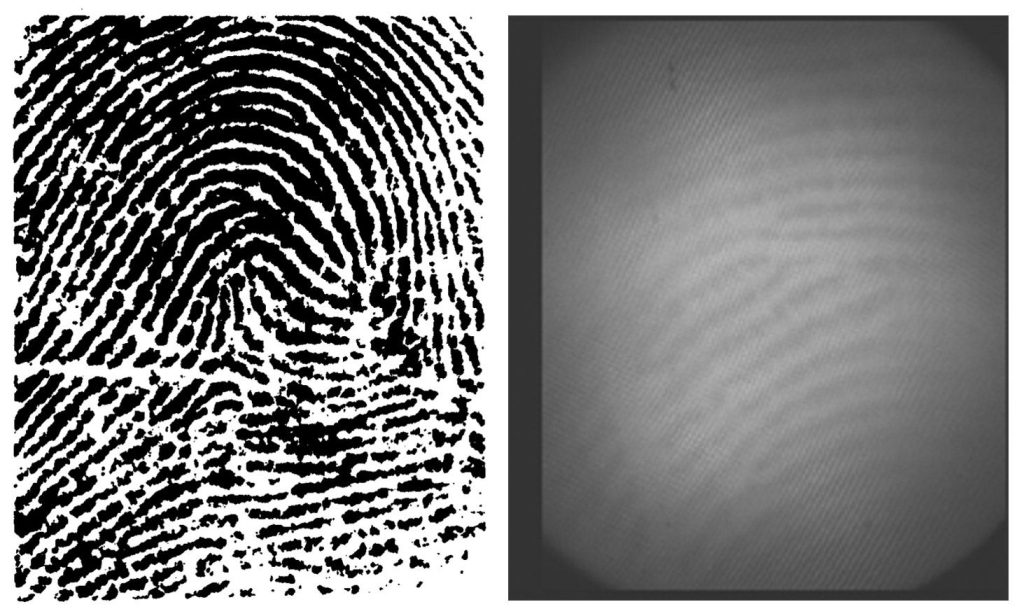 Fingerprints captured 150 years ago by Sir Francis Galton (left) compared with the optical sensor technology in the most advanced smartphones (right).