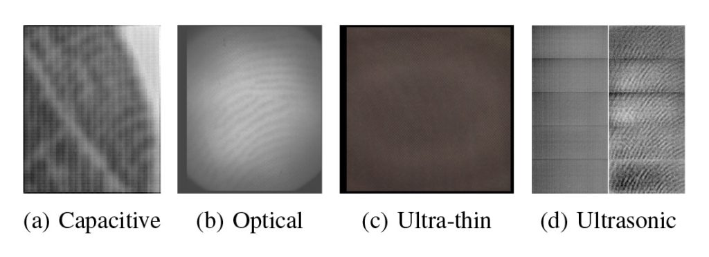 The images produced by different fingerprint sensors vary significantly from one another.